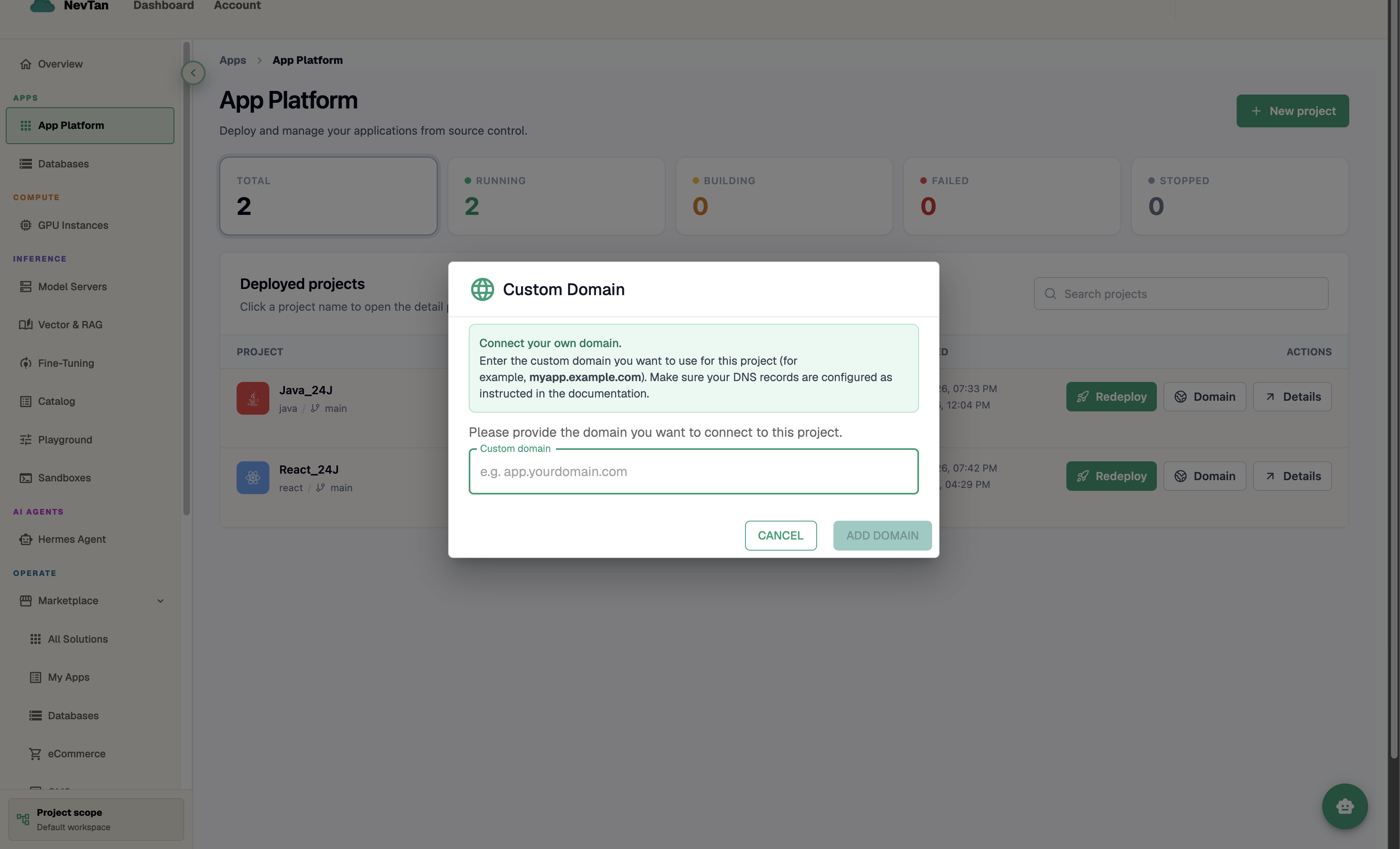 Custom Domain modal with a field to enter your domain